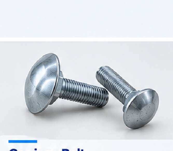 Carriage Bolt